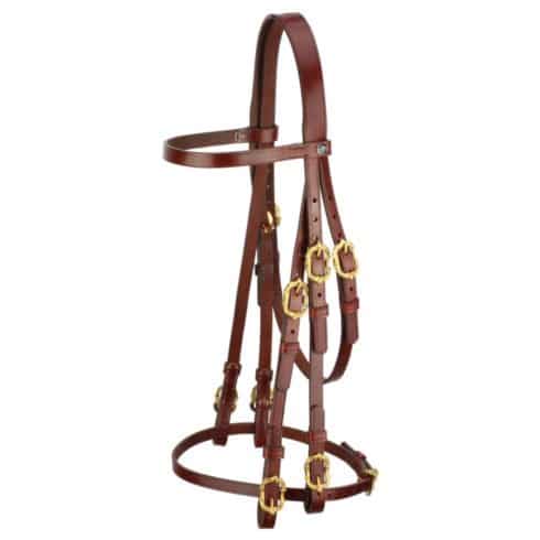 Baroque Portuguese style double bridle in brown with gold-coloured cortesia buckles.
