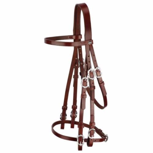 Baroque double bridle Corelli in brown silver with Cortesia buckles from Picadera