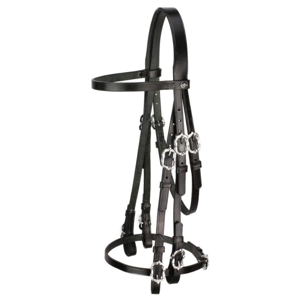 Baroque double bridle  Corelli in black silver with Cortesia buckles from Picadera