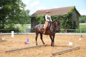 Reiterin auf spanischem Pferd bei Working Equitation Sidepass bei Picadera