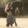 Pants riding skirt in black striped from Picadera with Friesian horse