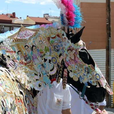 Geschmücktes und verkleidetes Pferd Caballos del Vino Blog bei Picadera