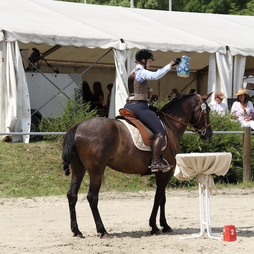 Pferd und Reiterin bei der Working Equitation Aufgabe "Der Krug"