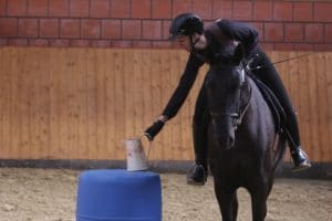 Pferd und Reiterin bei der Working Equitation Aufgabe "Der Krug"