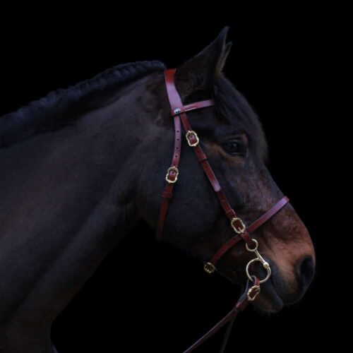baroque bridle Corelli in brown gold an Andalusian horse Picadera