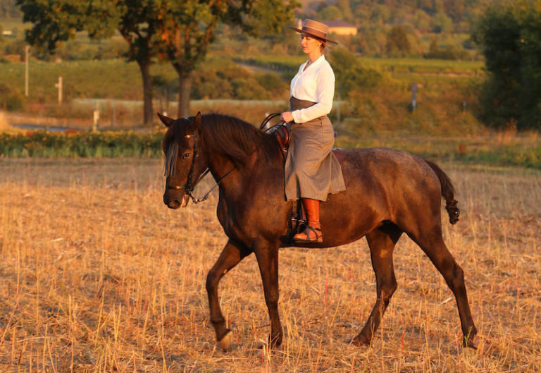 Reiterin auf spanischem Pferd
