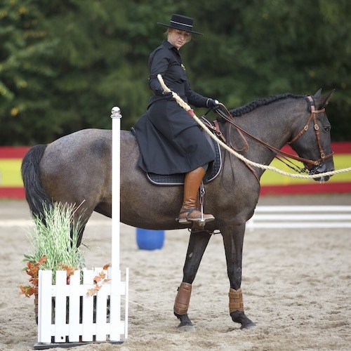Pferd und Reiterin bei der Working Equitation Aufgabe "Das Tor" bei Picadera