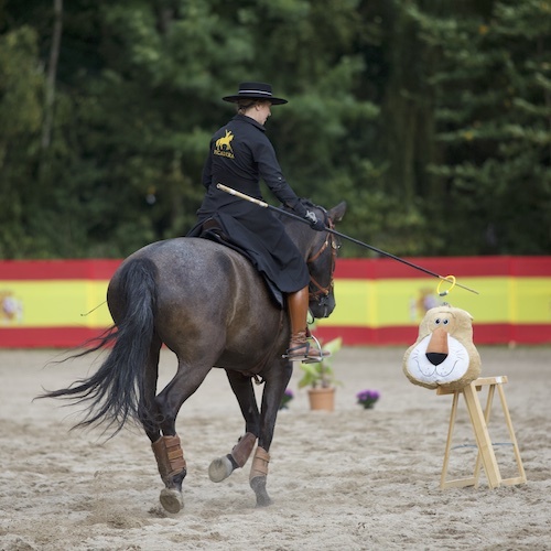 Pferd und Reiterin bei der Working Equitation Aufgabe "Der Stier" bei Picadera