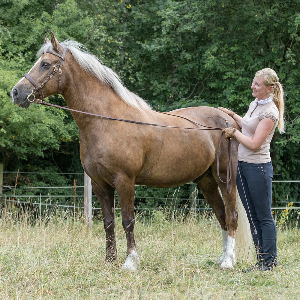 Reiterin steht neben ihrem Pferd auf einer Wise im Sommer bei Picadera