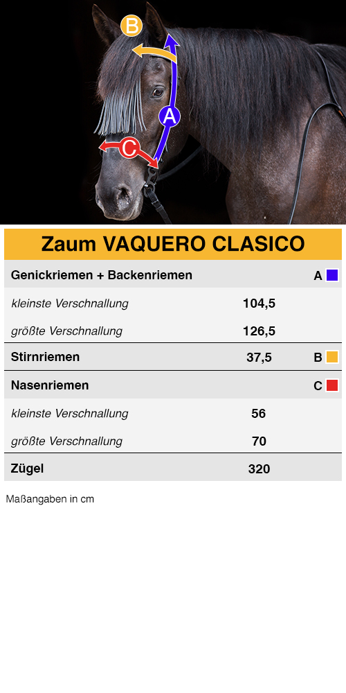 Size help for the bridle Vaquero Clasico at Picadera