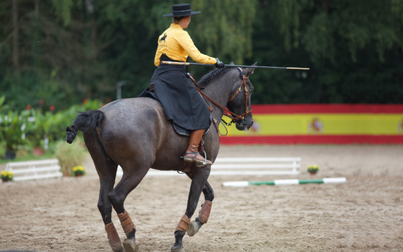 Reiterin mit Garrocha in der rechten Hand reitet mit ihrem Pferd bei einer Working Equitation Veranstaltung bei Picadera