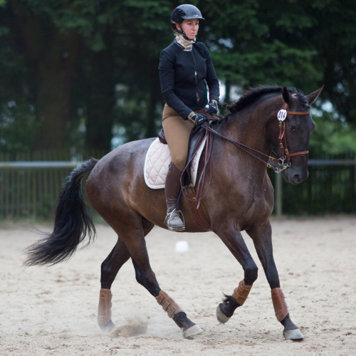 Reiterin reitet mit ihrem Pferd bei einem Working Equitation Turnier bei Picadera