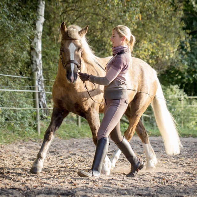 Reiterin übt mit ihrem Pferd das Schenkelweichen vom Boden aus bei Picadera