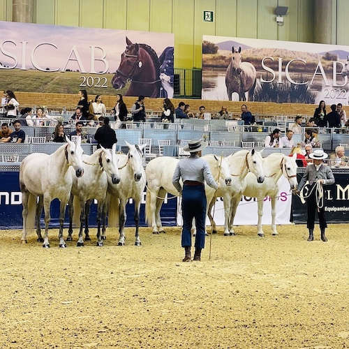 Vorführung mit Pferden in Spanien auf der SICAB bei Picadera