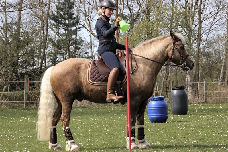 Reiterin mit ihrem Pferd beim Working Equitation Hindernis Becher Umsetzen bei Picadera
