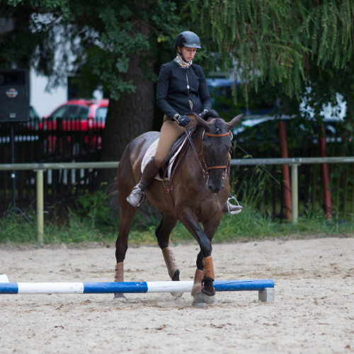 Reiterin mit ihrem Pferd bei einem Working Equitation Turnier bei Picadera