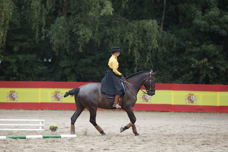 Reiterin mit ihrem Knappstrupper Andalusier bei einem Working Equitation Event bei Picadera