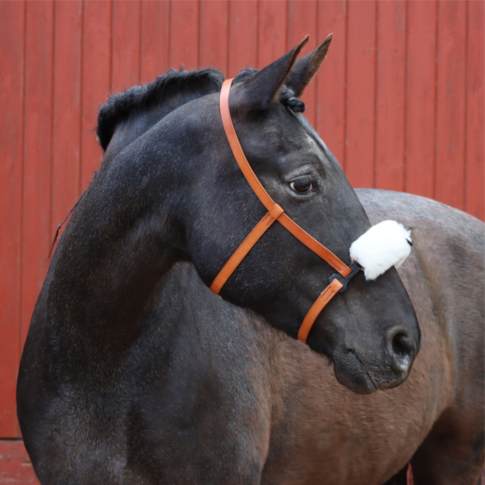 Nose protector for cavesson Serreta  &amp; Iberico with a ring in nature on the horse at Picadera